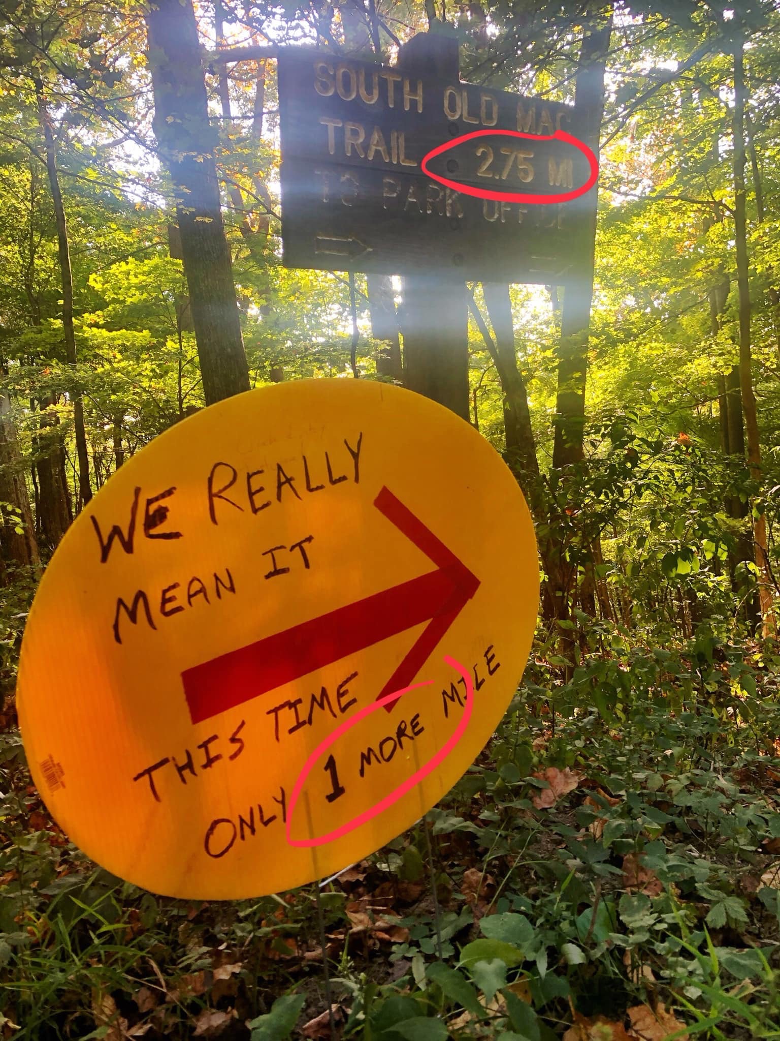 Barkley Fall Classic 50K 2019 Race Report FoxRunner