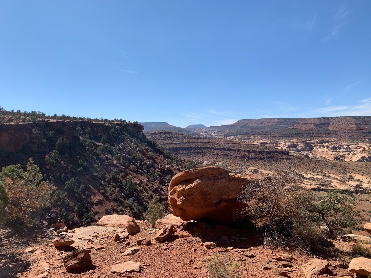 Moab 240 Endurance Run 2020 – Fox-runner